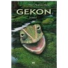 Gekon