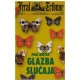 Glazba slučaja