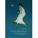 Galeb Džonathan Livingston