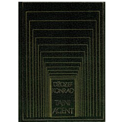 Tajni agent