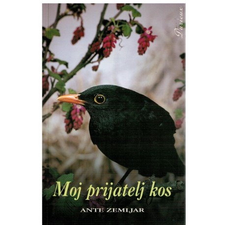 Moj prijatelj kos