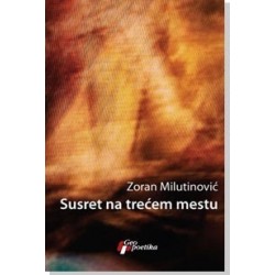 Susret na trećem mestu - Ogledi iz teorije i interpretacije