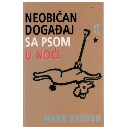 Neobičan događaj sa psom u noći