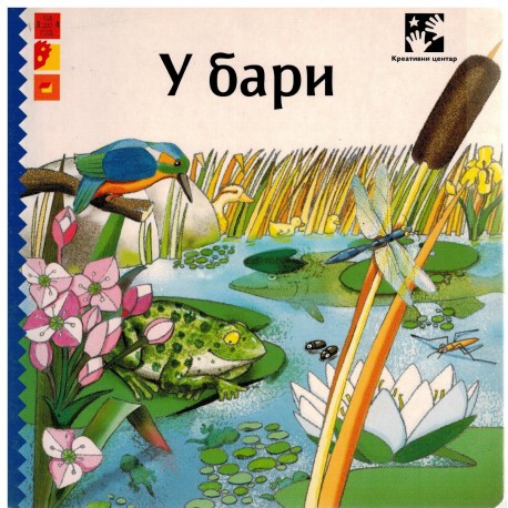 U bari