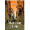 Čekajući sneg u Havani