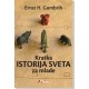 Kratka istorija sveta za mlade