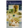 S Borgesom