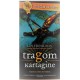Tragom Kartagine