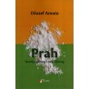 Prah -  Istorija sitnog i nevidljivog    +