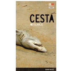 Cesta (ostajanje)