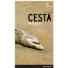 Cesta (ostajanje)
