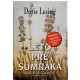 Leto pre sumraka