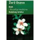 Rak i filozofija medicine Dalekog istoka