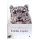 Snježni leopard
