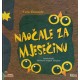 Naočale za mjesečinu