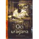 Oči uragana