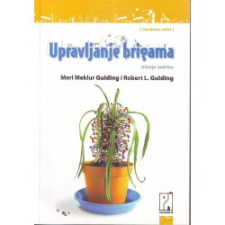 Upravljanje brigama