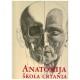 Anatomija škola crtanja