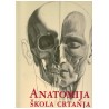 Anatomija škola crtanja