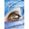 Anđeo čuvar