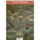 Leto