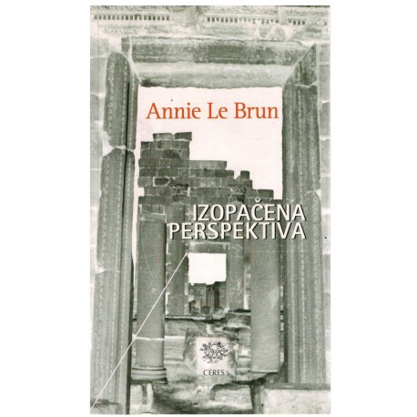 Izopačena perspektiva