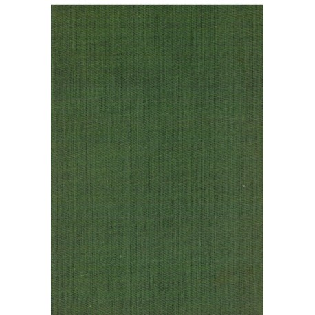 Topovi s Navarona