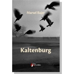Kaltenburg