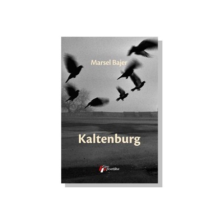 Kaltenburg