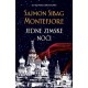 Jedne zimske noći