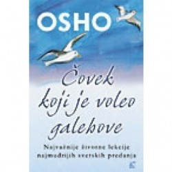 Ćovek koji je voleo galebove
