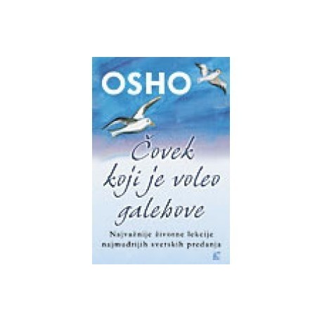 Ćovek koji je voleo galebove