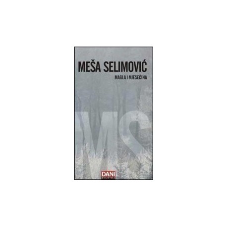 Magla i mjesečina