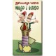 Antologoja viceva - Mujo i Haso