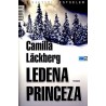 Ledena princeza