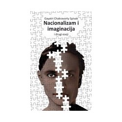 Nacionalizam i imaginacija
