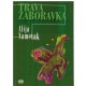 Trava zaboravka