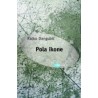Pola ikone