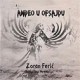 Anđeo u ofsajdu CD (audiovizuelna knjiga)