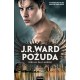 Požuda - Drugi roman serijala Pali anđeli