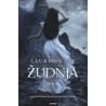 Žudnja