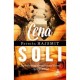 Cena soli