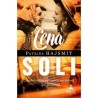 Cena soli