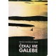Čekaj me galebe