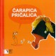 Čarapica pričalica