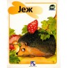 Jež
