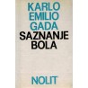 Saznanje bola