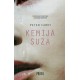 Kemija suza