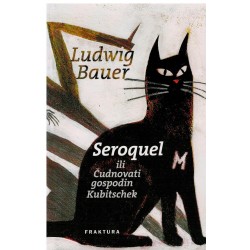 Seroquel ili čudnovati gospodin Kubitschek   +