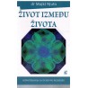 Život između života